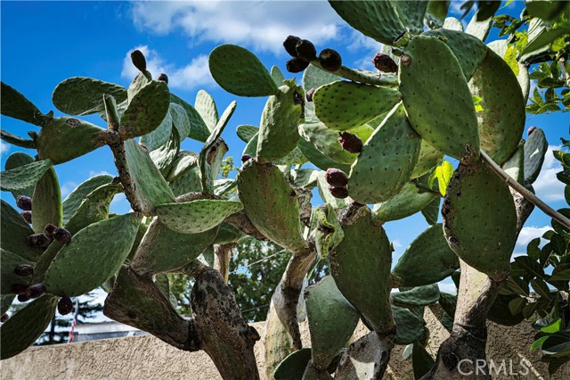 Detail Gallery Image 32 of 43 For 9243 Balfour, Pico Rivera,  CA 90660 - 3 Beds | 3/1 Baths