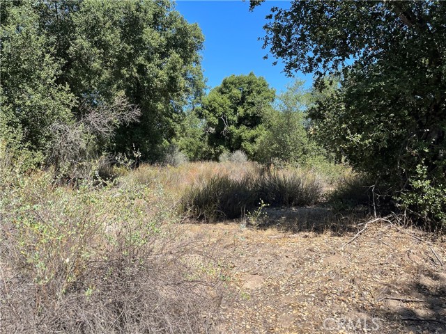 Detail Gallery Image 2 of 26 For 35010 Willow Creek Rd., Hemet,  CA 92544 - – Beds | – Baths