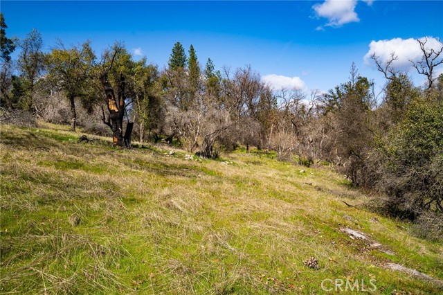 Detail Gallery Image 39 of 55 For 6096 Carter Rd, Mariposa,  CA 95338 - 3 Beds | 2 Baths