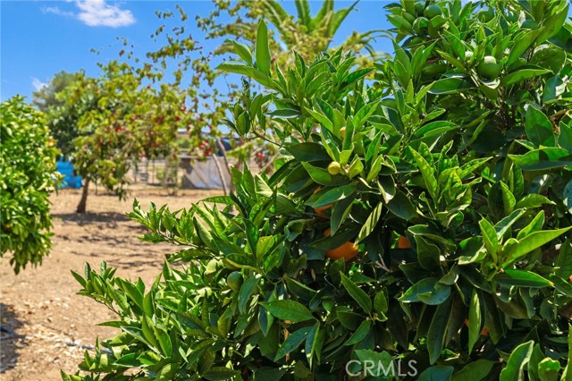 Detail Gallery Image 25 of 32 For 18910 Highland Valley Road, Ramona,  CA 92065 - 4 Beds | 3 Baths