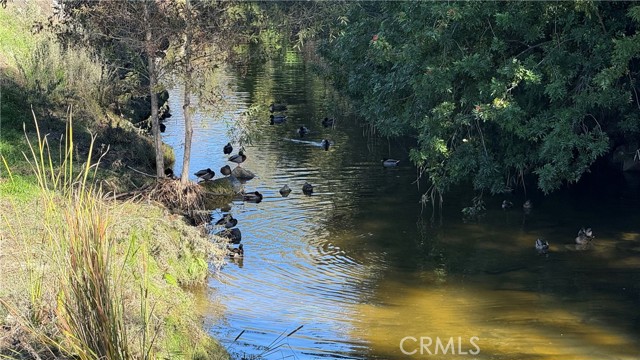 Detail Gallery Image 15 of 58 For 898 Ronda Sevilla #N,  Laguna Woods,  CA 92637 - 2 Beds | 2 Baths