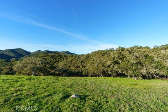 Detail Gallery Image 15 of 29 For 518 Bella Terra Ct, San Luis Obispo,  CA 93401 - – Beds | – Baths