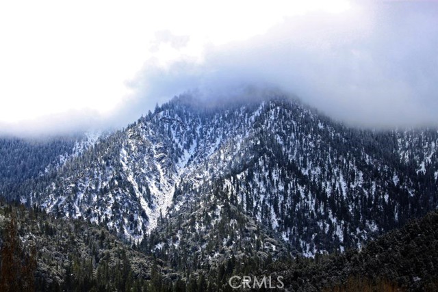 Detail Gallery Image 56 of 61 For 1613 Lassen Way, –,  CA 93222 - 4 Beds | 3 Baths