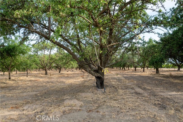 Image 4 of 49 For 5702 Highway 145