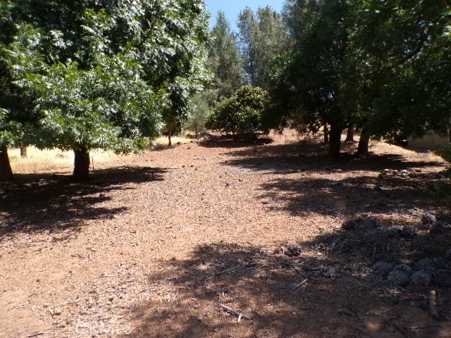 10318 Hok Has Ha Lane, Kelseyville CA: https://media.crmls.org/medias/fd820459-2e00-4a4b-84ca-10389023353a.jpg