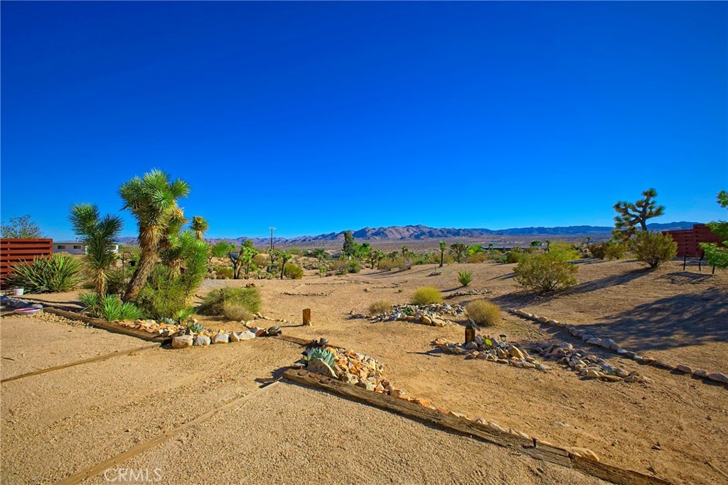 MLS #JT25254417 image #8