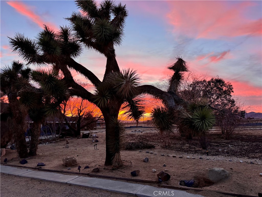 MLS #OC25244516 image #29