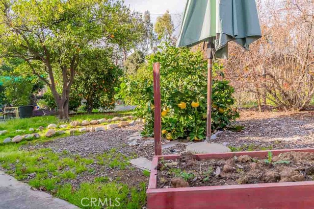 Detail Gallery Image 51 of 55 For 24 N. Center St., Redlands,  CA 92373 - 2 Beds | 2 Baths