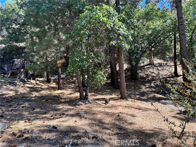 0 Heath Creek Drive, Wrightwood CA: https://media.crmls.org/medias/fd8bc504-a277-4c0e-aad7-b022dd234904.jpg