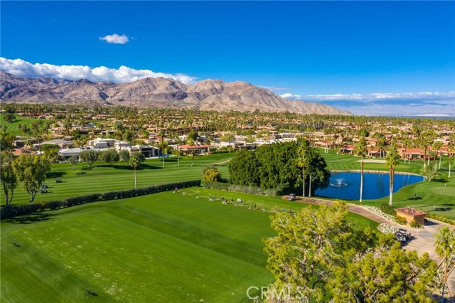 Image 36 of 45 For 73575 Encelia