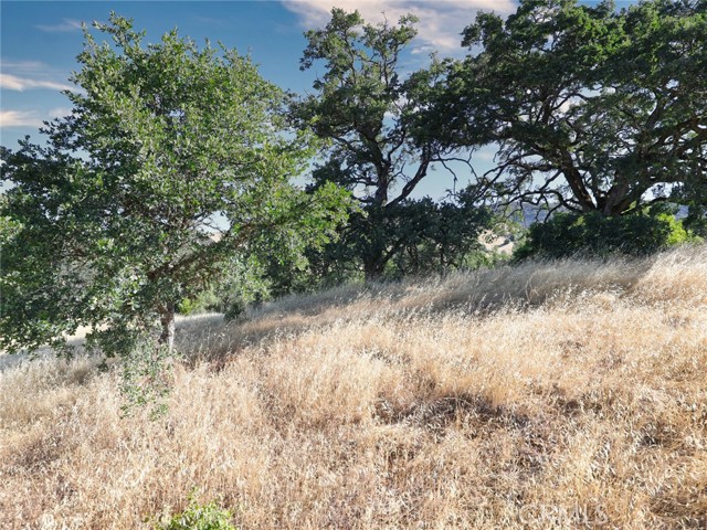 Detail Gallery Image 6 of 6 For 2425 Greeley St, Nice,  CA 95464 - – Beds | – Baths