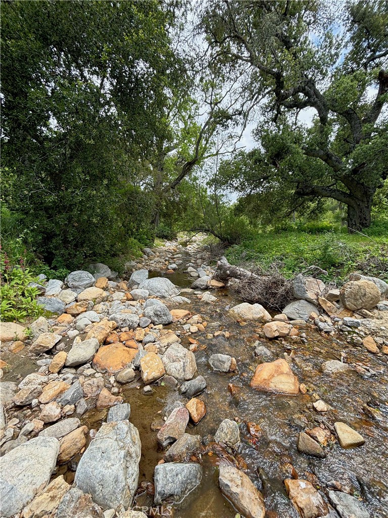 MLS #NS25260636 image #14