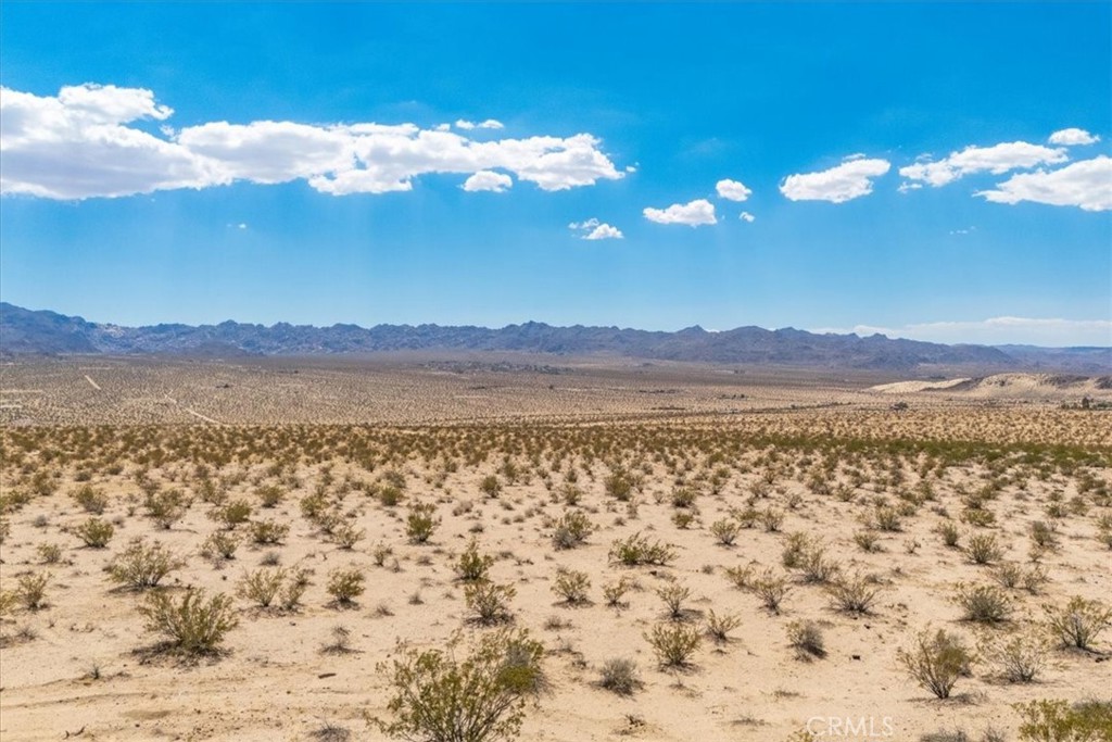 MLS #JT25263725 image #3