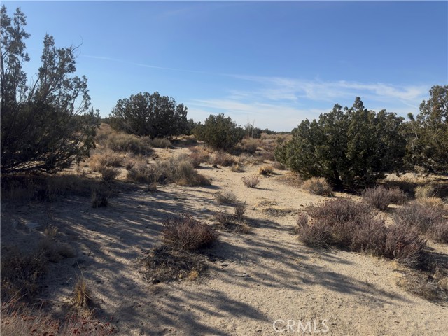 0 Avenue Y, Llano CA: https://media.crmls.org/medias/fd96e606-28f3-4a9f-91ae-0aa3cf30ca78.jpg