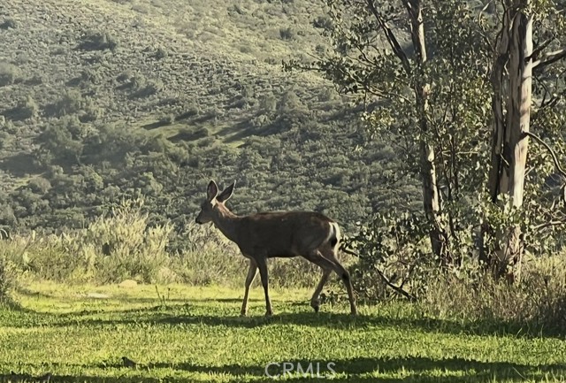 Detail Gallery Image 3 of 29 For 0 0, Ortega Mountain,  CA 92675 - – Beds | – Baths