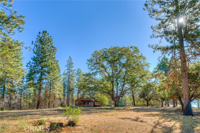 Detail Gallery Image 47 of 66 For 110 Black Bear Rd, Berry Creek,  CA 95916 - 2 Beds | 2 Baths