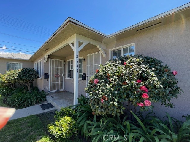 Front Image Thumbnail for CRSR25269790