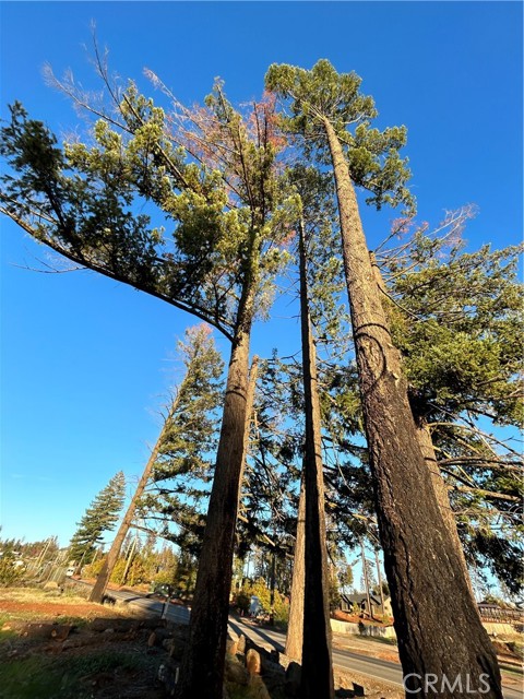 Front Image Thumbnail for CRSN25247700