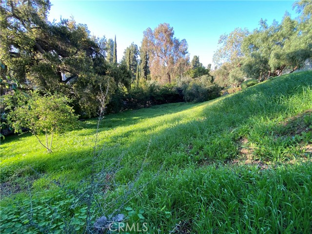 7013 Hillside Lane, Whittier CA: https://media.crmls.org/medias/fda6df8a-e1da-4bd7-9f48-97401d71ffb7.jpg
