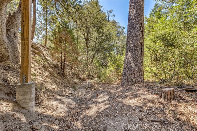 25405 Point Of Rocks Drive, Idyllwild CA: https://media.crmls.org/medias/fdad829a-3b5f-4723-bcd1-be75efa802aa.jpg