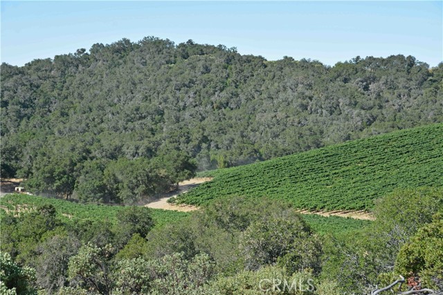 Detail Gallery Image 27 of 36 For 0 Adelaida Road, Paso Robles,  CA 93446 - – Beds | – Baths