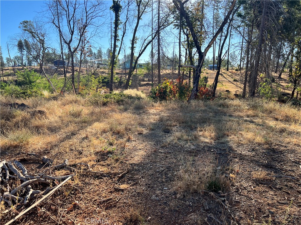 1529 Mor Dell Road, Paradise, CA 95969