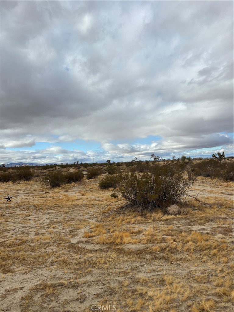 MLS #SR25028303 img 1