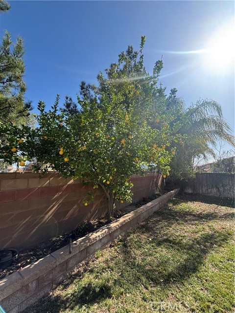 Detail Gallery Image 54 of 65 For 1064 Queen Annes Ln, Beaumont,  CA 92223 - 4 Beds | 2/1 Baths