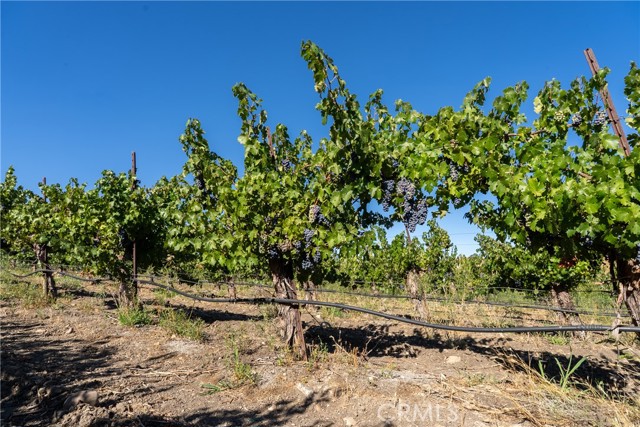 5790 Hog Canyon Road, San Miguel CA: https://media.crmls.org/medias/fdbbdb21-513c-4e74-abd2-21ba713700d1.jpg
