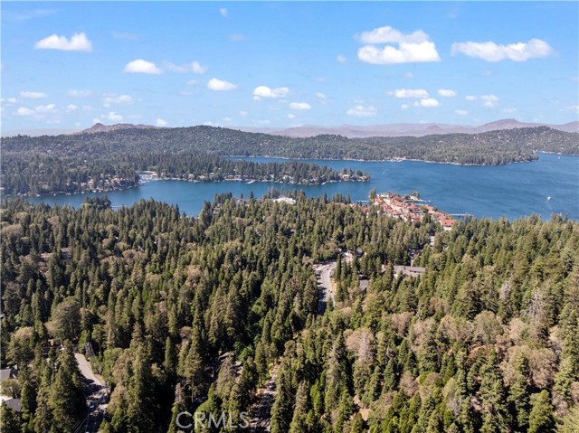 356 Ca-173, Lake Arrowhead CA: https://media.crmls.org/medias/fdbd088f-ae4f-4fd0-97d1-1b95a6d6e5cf.jpg