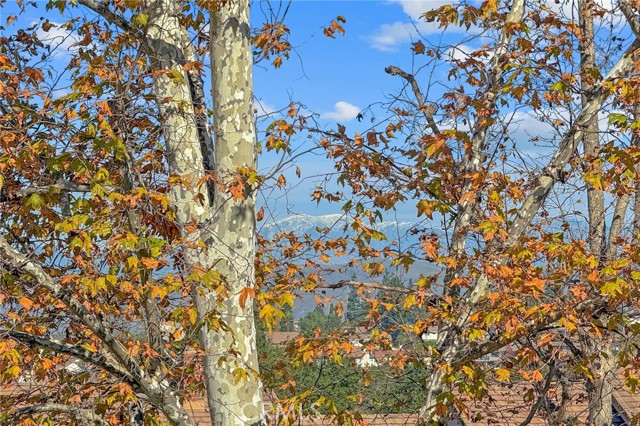 Detail Gallery Image 39 of 50 For 6535 E Paseo Murillo, Anaheim,  CA 92807 - 3 Beds | 2/1 Baths