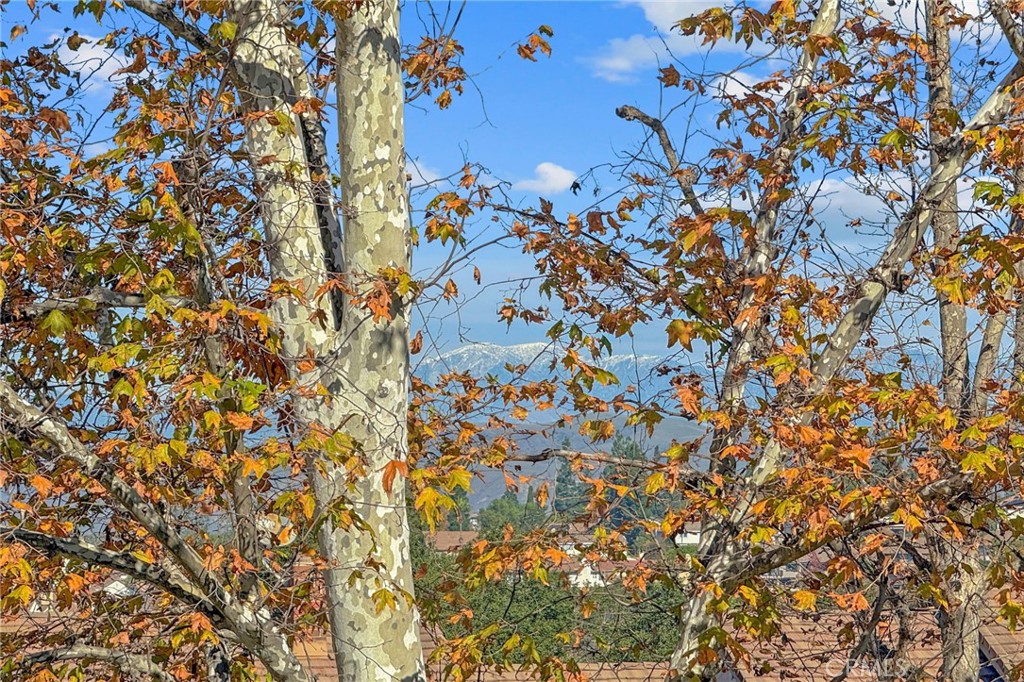 MLS #OC25269688 image #38