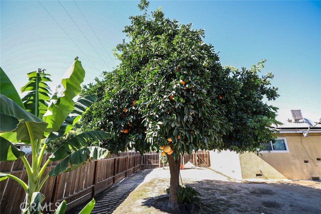 543 E Hopkins Avenue, Fresno CA: https://media.crmls.org/medias/fdbe2963-02d1-4f2e-b0da-ddb8f77ed79a.jpg