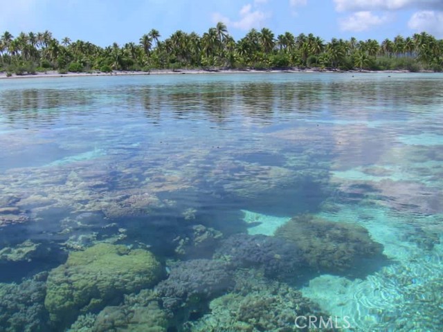 1 Motu Moie French Polynesia, Taha'a, Outside Area (Outside Ca) CA: https://media.crmls.org/medias/fdc5f0e6-c725-4fa7-a07b-52a562ef7fb0.jpg