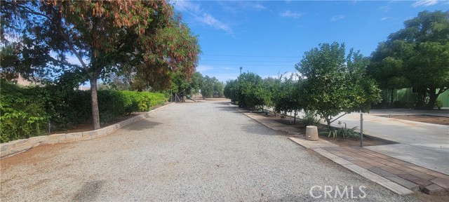 Front Image Thumbnail for CRIV25222687