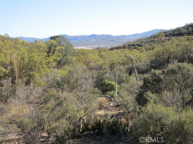 56660 Knollwood Drive