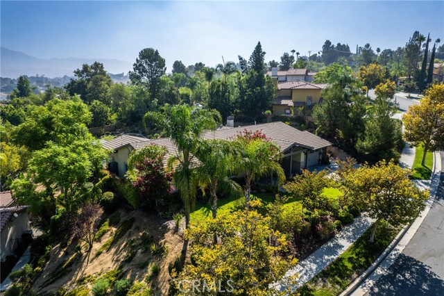 Detail Gallery Image 62 of 69 For 1435 Patricia Dr, Redlands,  CA 92373 - 4 Beds | 3 Baths