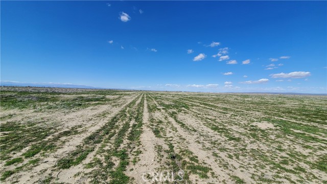 0 Avenue L & 97th St East, Lancaster, California 93535, ,Land,For Sale,0 Avenue L & 97th St East,CRSR23210306