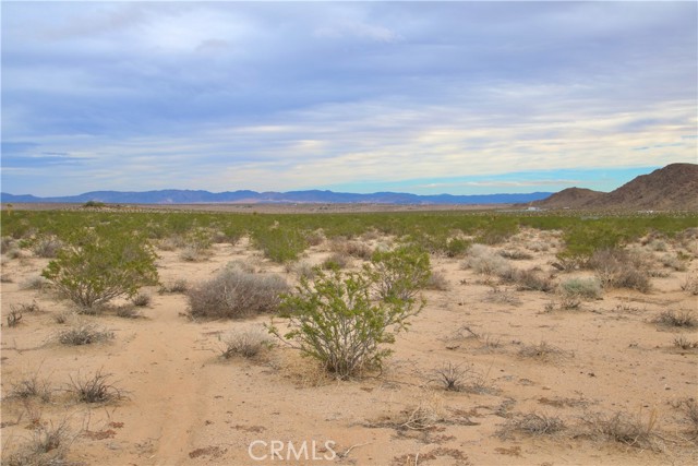 Detail Gallery Image 20 of 21 For 0 Milky Way Ave, Joshua Tree,  CA 92252 - – Beds | – Baths