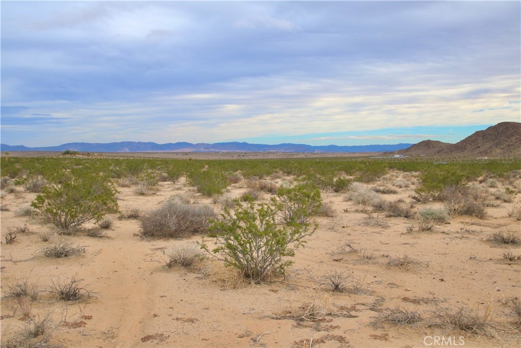 MLS #OC24073169 image #18