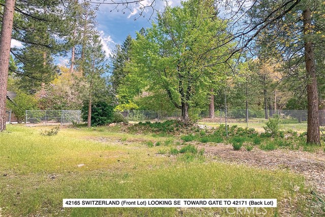 42171 Switzerland, Big Bear Lake, CA, 92315 42171 Switzerland, Big Bear Lake, CA, 92315