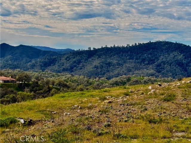 3260 Timberline drive, Paso Robles CA: https://media.crmls.org/medias/fdf36e8f-b5cc-4b3d-ae1d-af5b6612d915.jpg