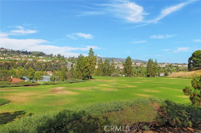 24092 Lapwing Lane, Laguna Niguel CA: https://media.crmls.org/medias/fdf4979d-e6bb-4b84-8069-44c879c8b402.jpg