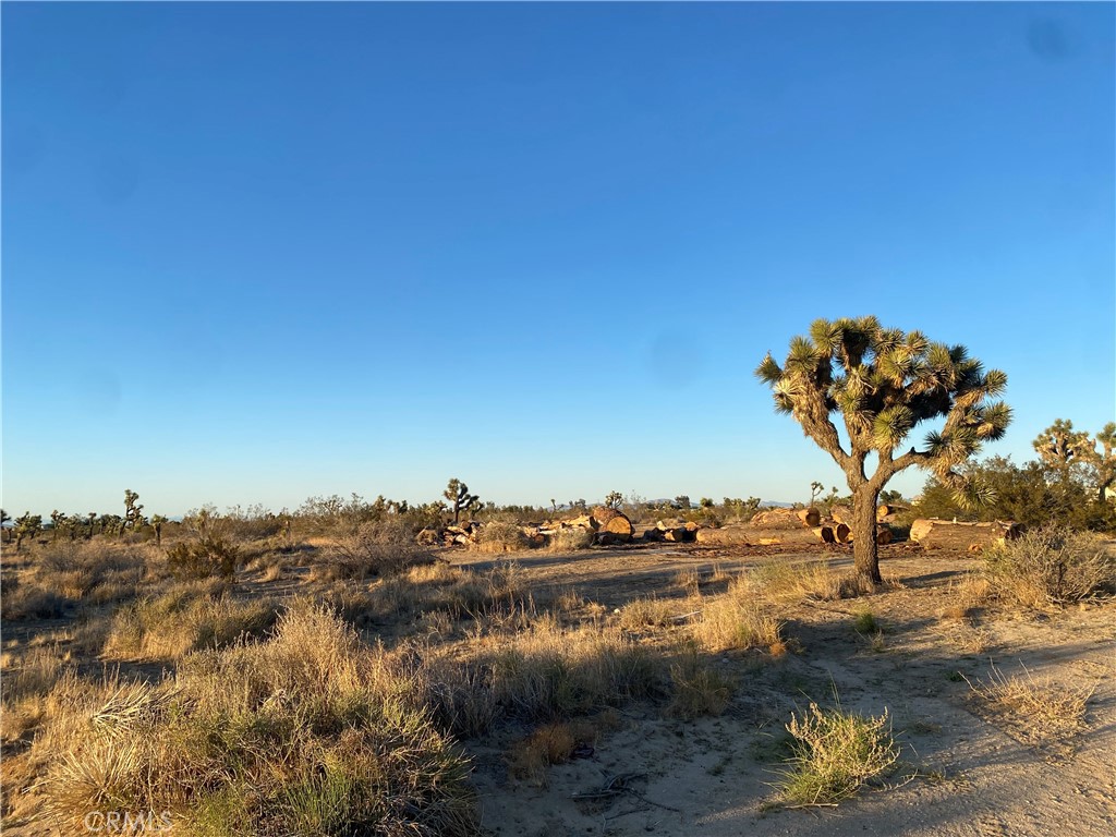 MLS #HD25093308 image #9