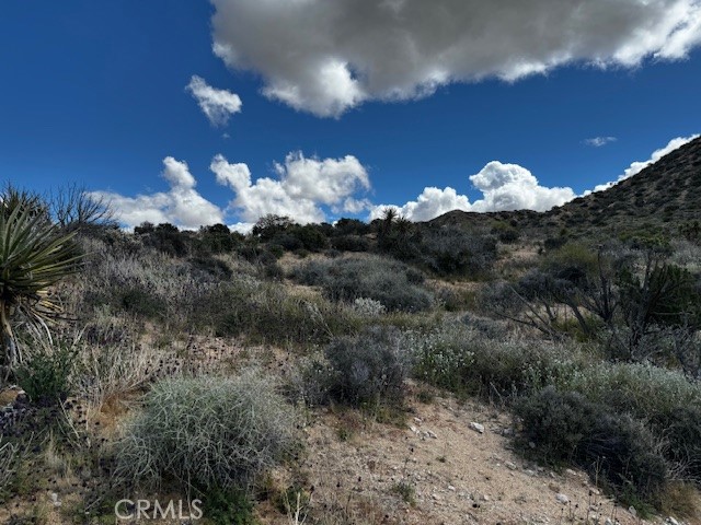 MLS #JT25188299 image #4