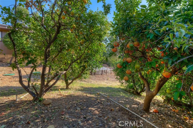 Detail Gallery Image 38 of 44 For 3253 Hildale Ave, Oroville,  CA 95966 - 3 Beds | 2 Baths