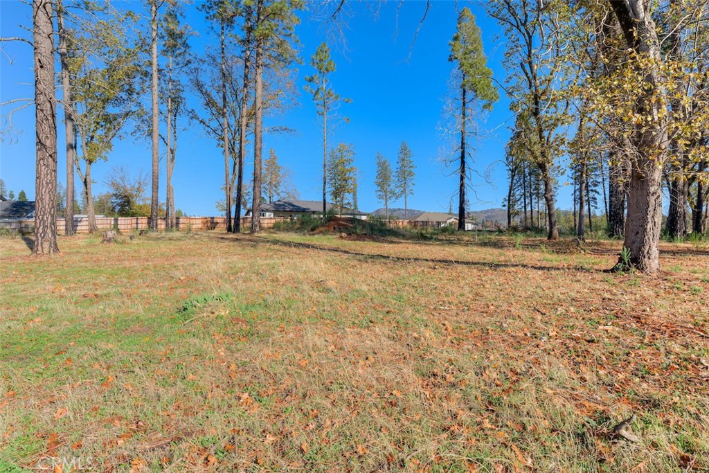 MLS #SN25261904 image #4