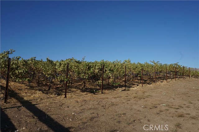 Detail Gallery Image 35 of 42 For 35156 Hobbiton Rd, Hemet,  CA 92544 - 3 Beds | 2 Baths