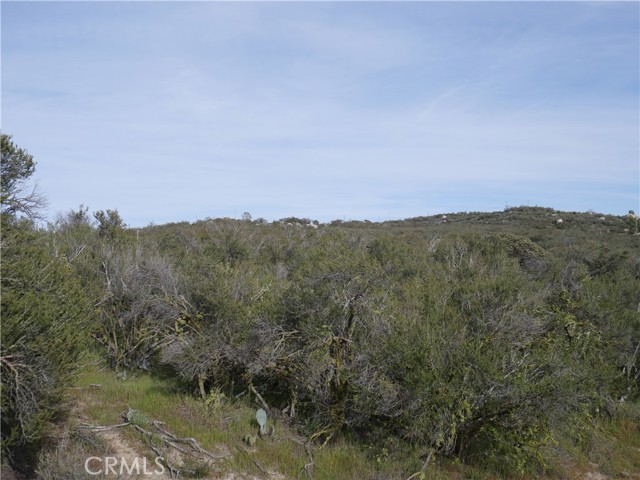 0 Hwy 371, Anza, California 92539, ,Land,For Sale,0 Hwy 371,CRSW23054275