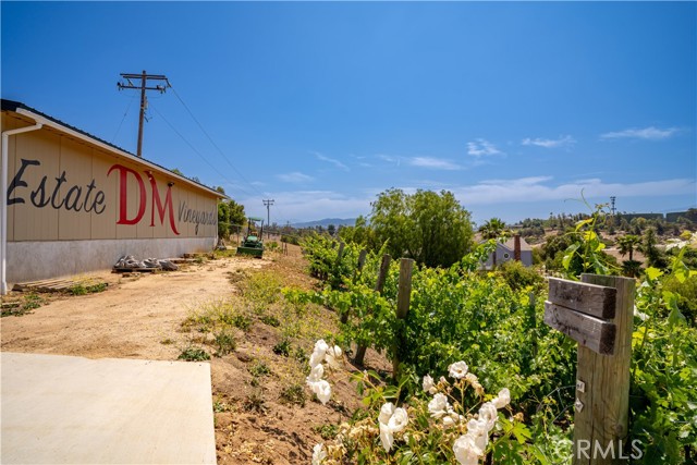 34150 Pauba Road, Temecula CA: https://media.crmls.org/medias/fe0d3515-064f-4e46-a323-50fabf1e8ab0.jpg